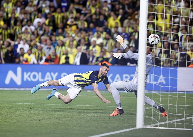 不仅仅是普 不仅仅是普