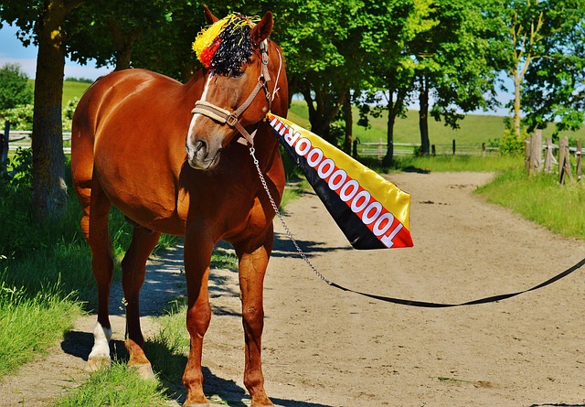 被皇马淘汰，希门尼斯：无法用语言来形容昨晚发.