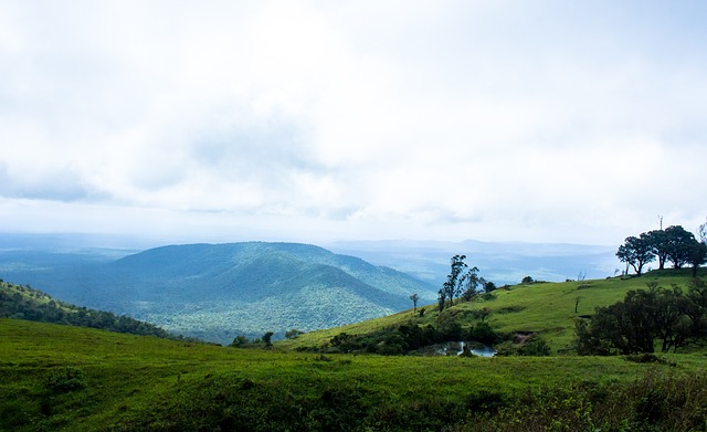 尤文vs恩波利：DV9搭档穆阿尼，麦肯尼出战.